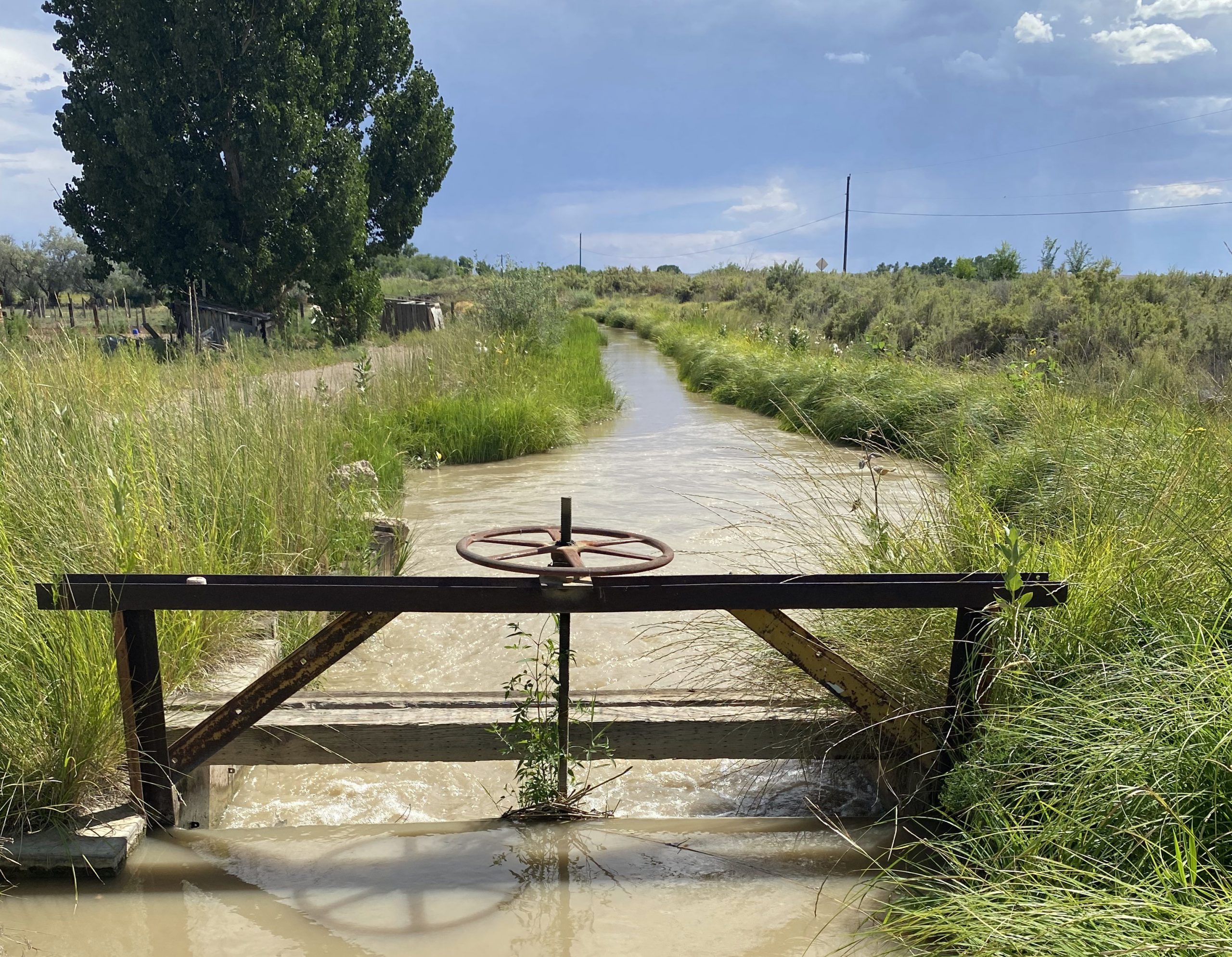 Featured image for “Agricultural Water Resilience & Demand Management Pilot Program”