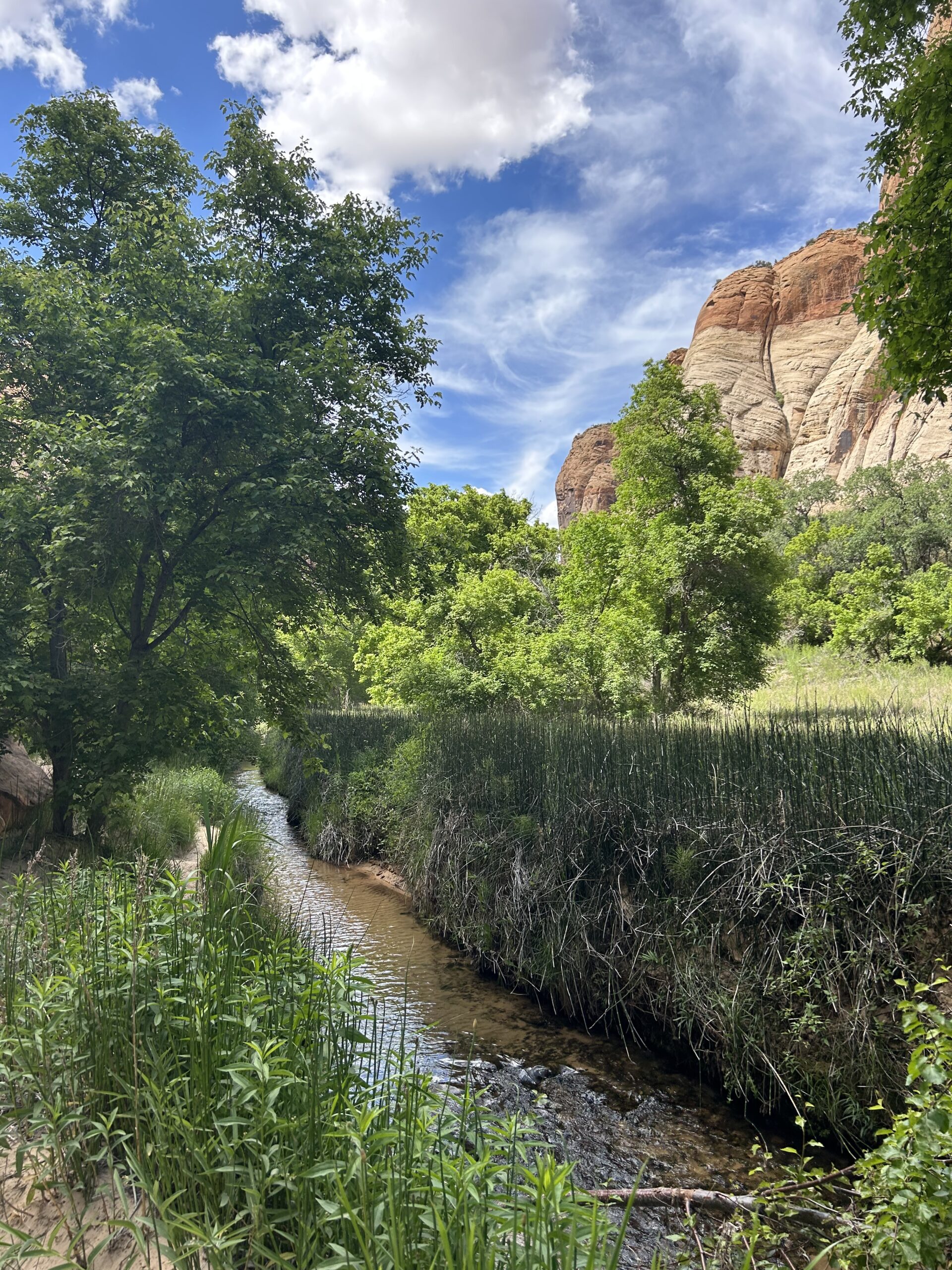 Featured image for “Upper Basin Environmental Drought Mitigation Funding Opportunity”